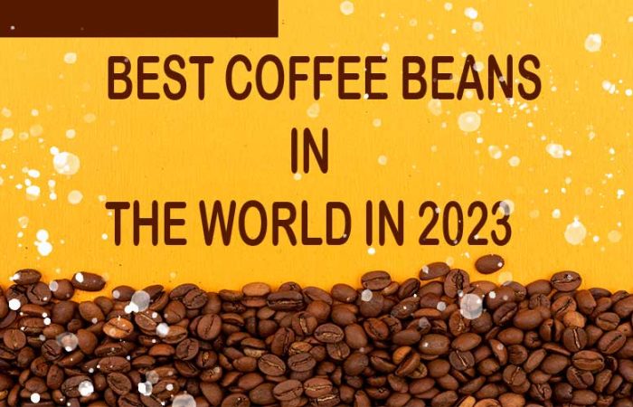 Best Coffee Beans in the World in 2023