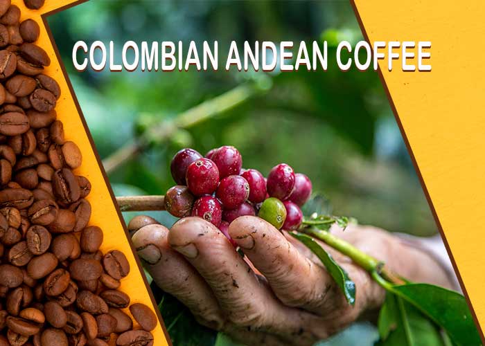 Colombian-Andean-Coffee