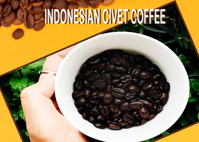 Indonesian-Civet-Coffee