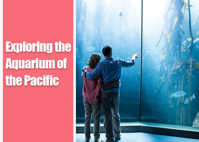 Exploring-the-Aquarium-of-the-Pacific