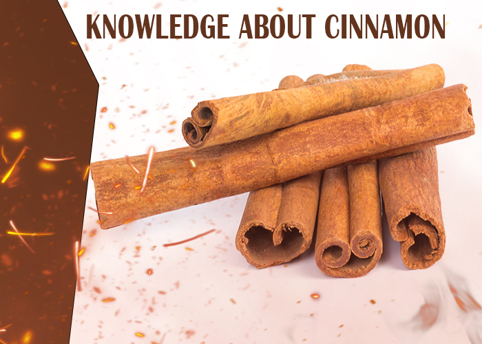 Knowledge-about-Cinnamon