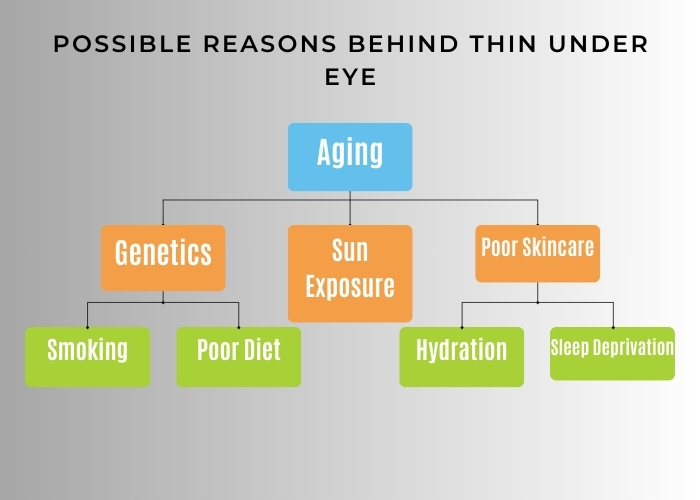 Possible Reasons Behind Thin Under Eye
