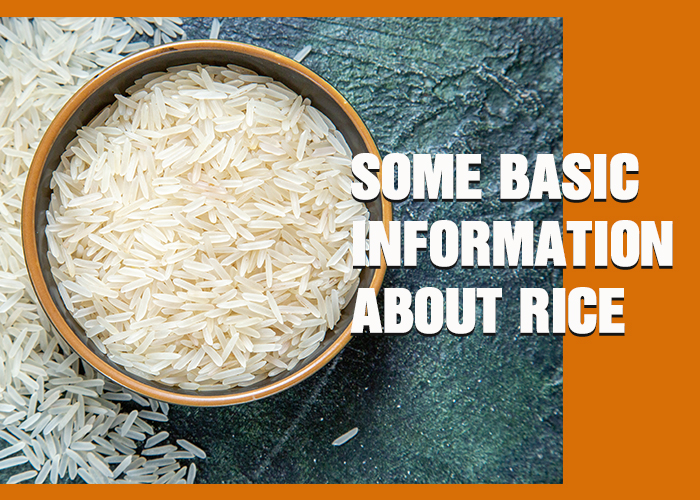 Some basic information about rice: