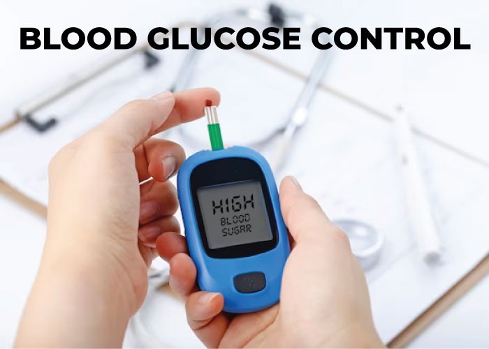 Blood glucose control: