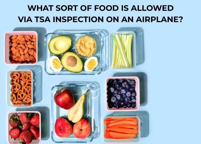 What sort of food is allowed via TSA inspection on an airplane?