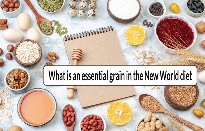 What is an essential grain in the New World diet