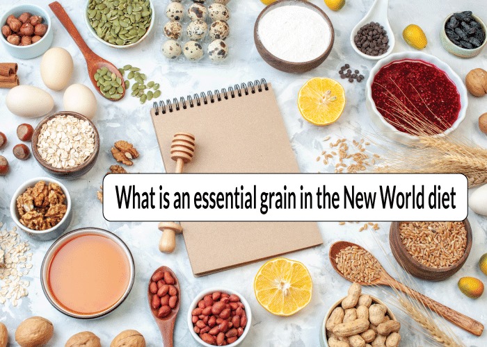 What is an essential grain in the New World diet