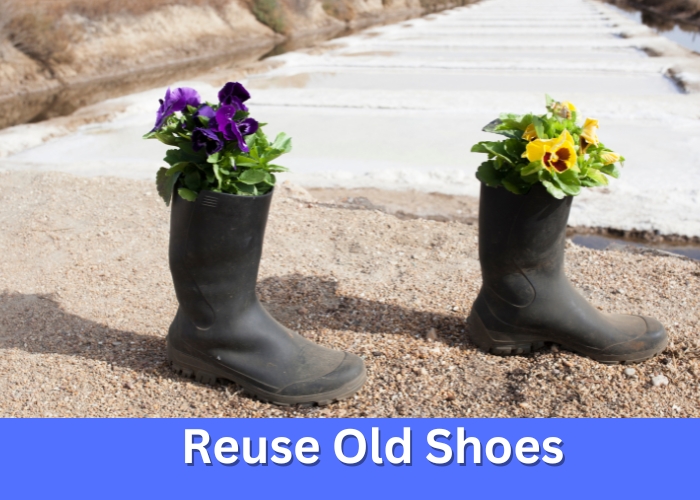 Reuse Old Shoes