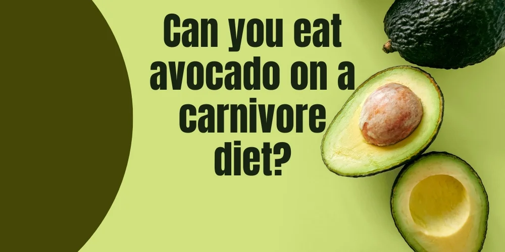 Can you eat avocado on a carnivore diet