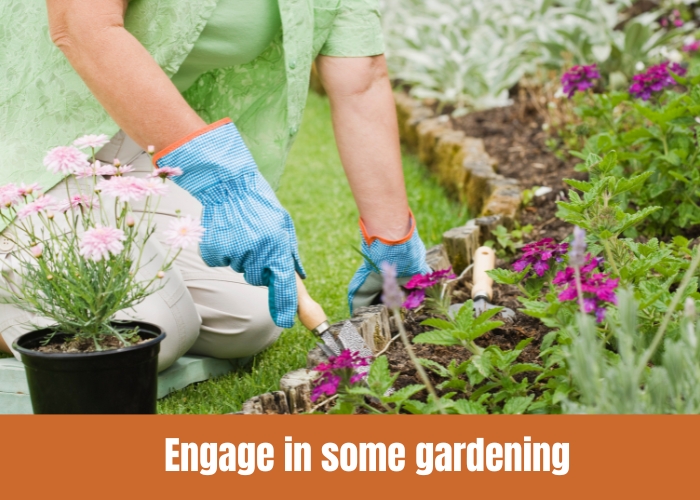 Engage in some gardening