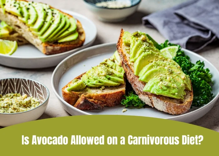 Is Avocado Allowed on a Carnivorous Diet