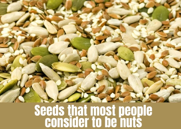 Seeds that most people consider to be nuts