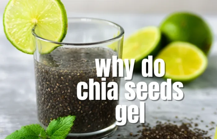 Why do chia seeds gel