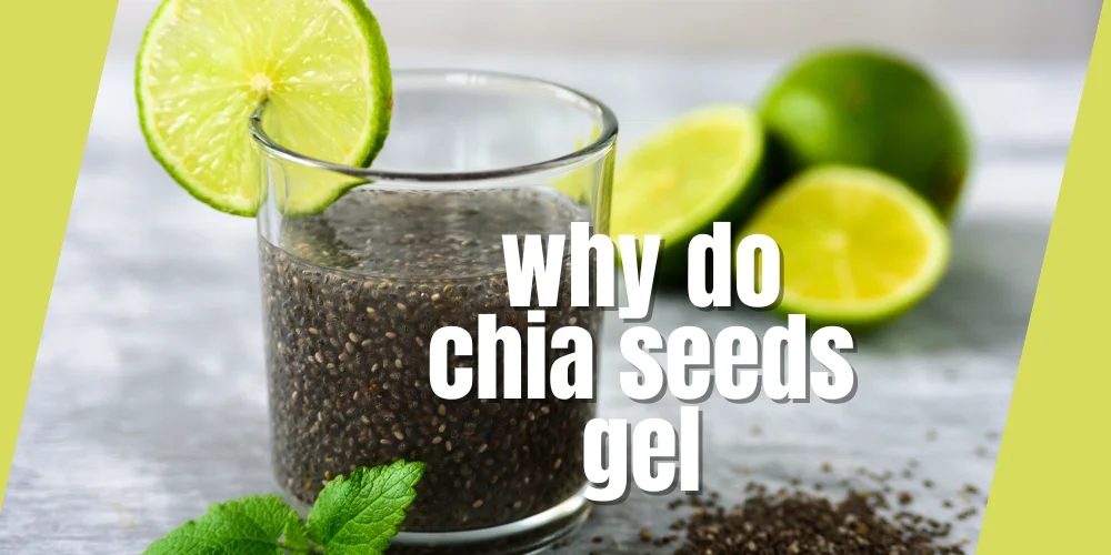 Why do chia seeds gel