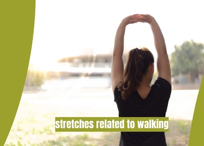 stretches related to walking