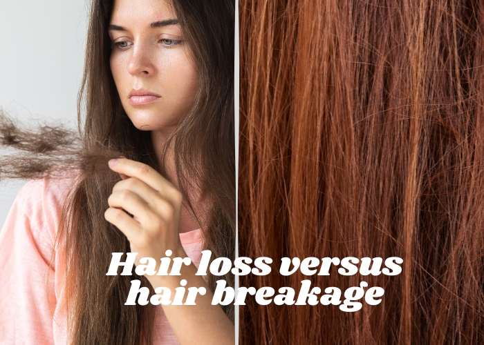 Hair loss versus hair breakage