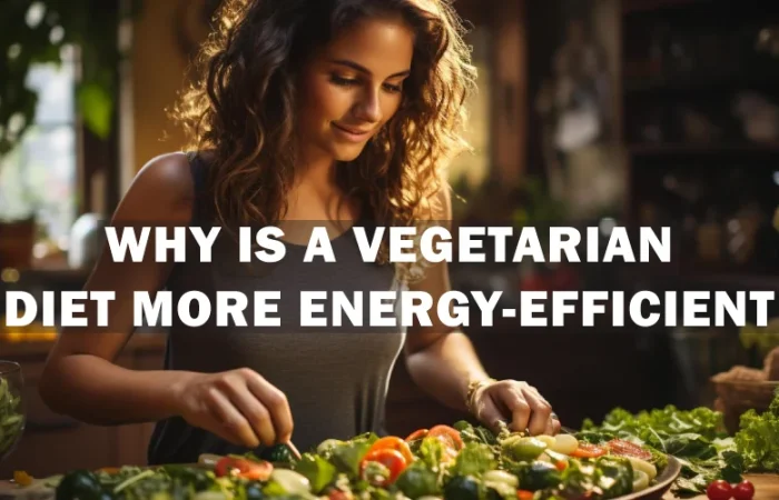 Why is a vegetarian diet more energy-efficient