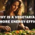 Why is a vegetarian diet more energy-efficient