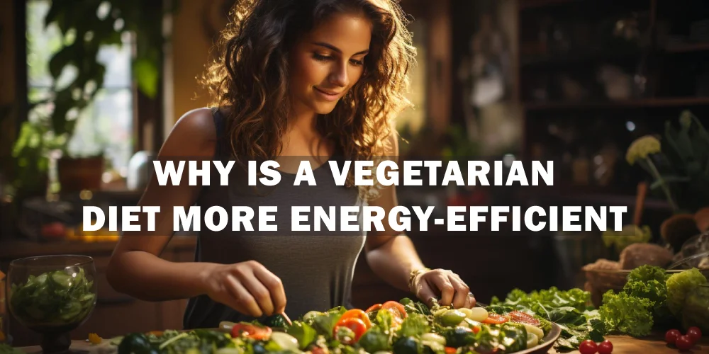 why is a vegetarian diet more energy efficient