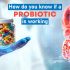 How do you know if a probiotic is working