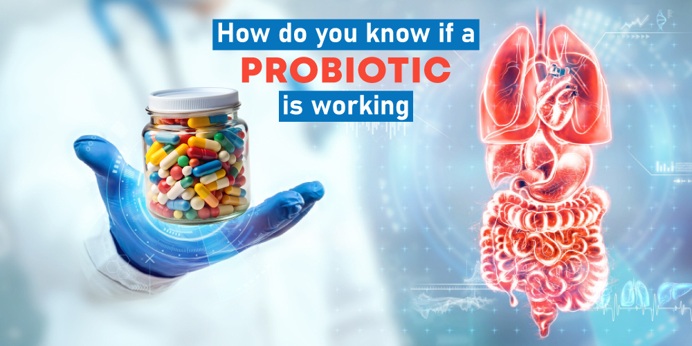 How do you know if a probiotic is working