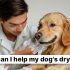 How can I help my dog's dry skin?